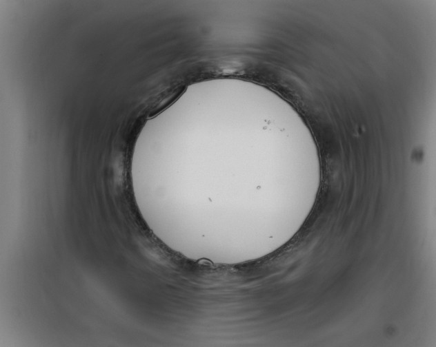 X0000099481442200805301608