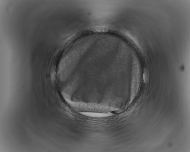 X0000099481444200805301608