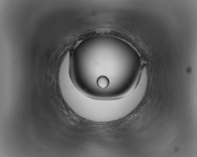 X0000099481445200805301608