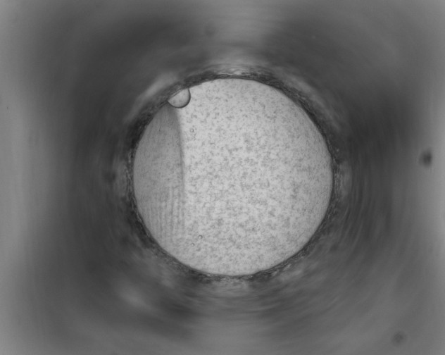X0000099481446200805301608