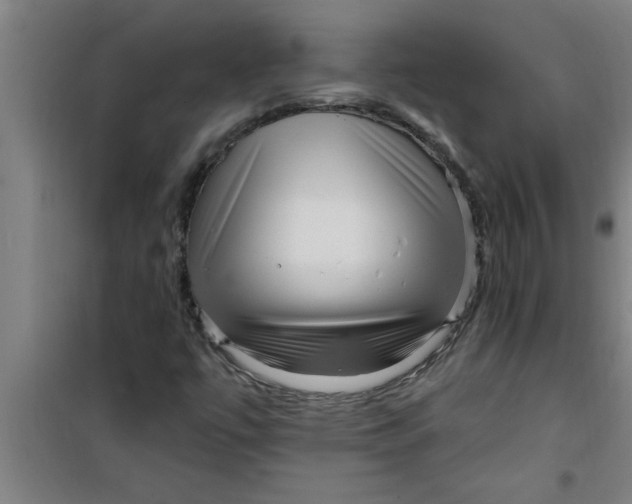 X0000099481447200805301608