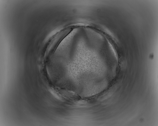 X0000099481448200805301608
