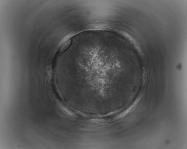 X0000099481449200805301608