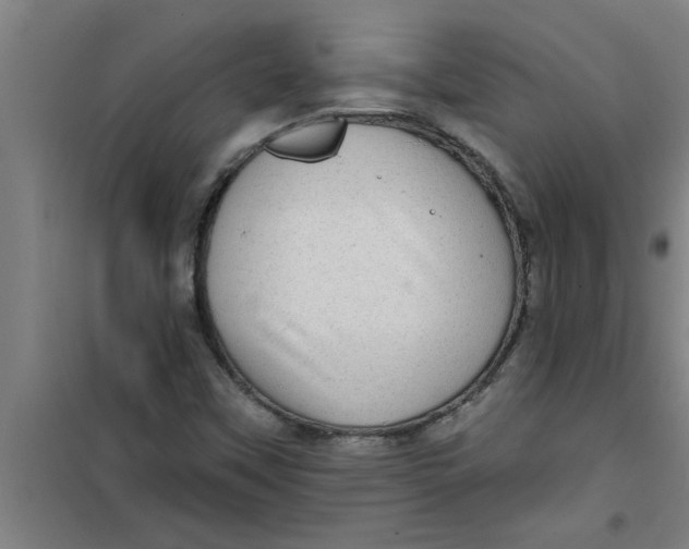 X0000099481451200805301608