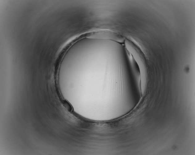 X0000099481452200805301608