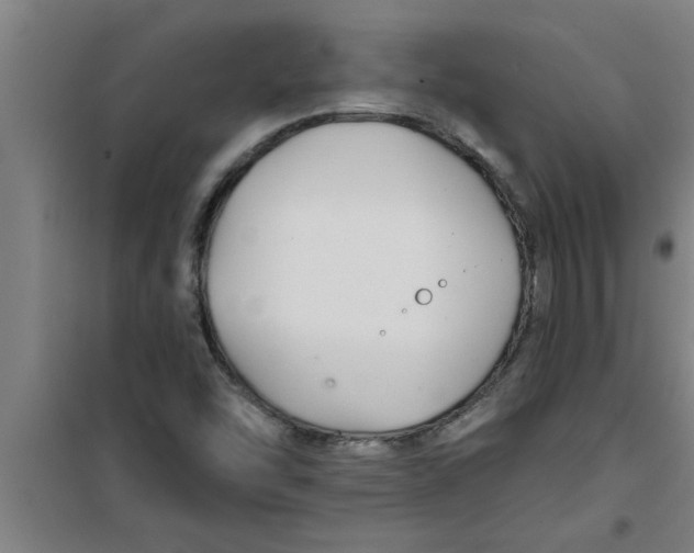 X0000099481454200805301608