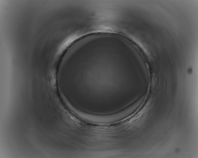X0000099481455200805301608