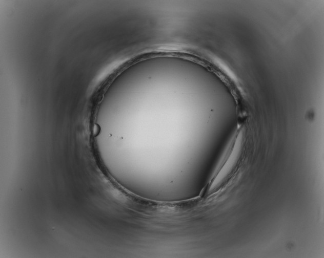 X0000099481456200805301608