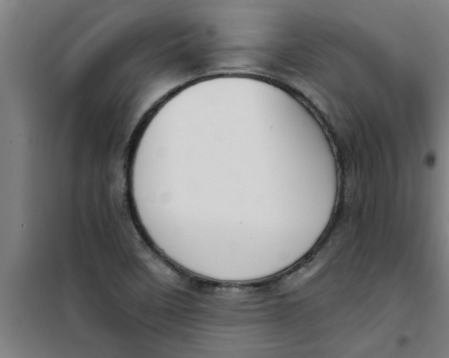 X0000099481458200805301608