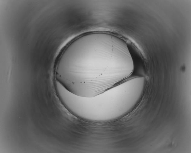 X0000099481460200805301608