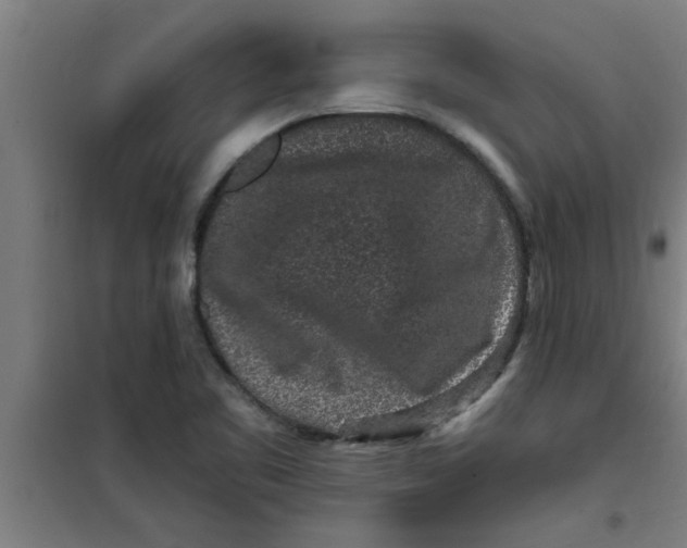 X0000099481461200805301608