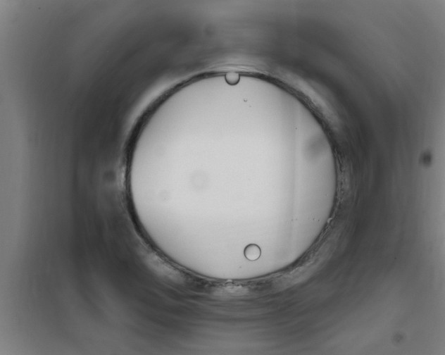 X0000099481462200805301608