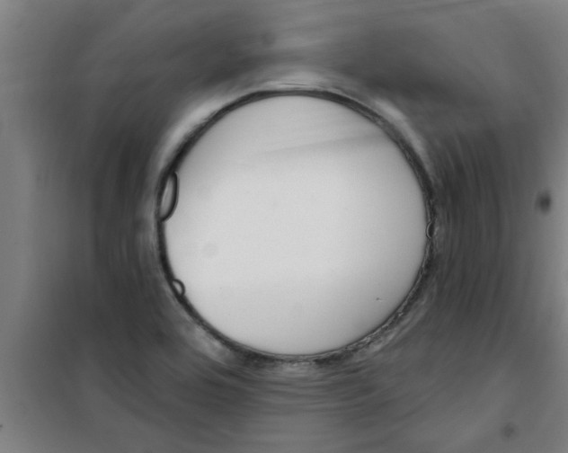 X0000099481464200805301608