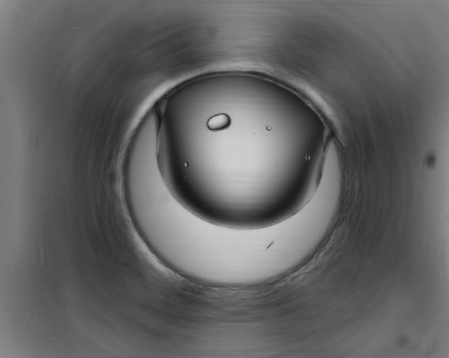 X0000099481468200805301608