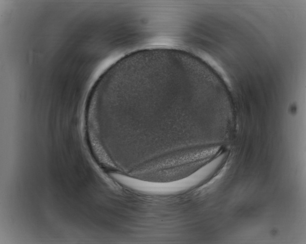 X0000099481469200805301608