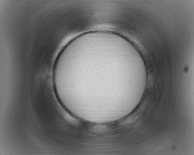 X0000099481470200805301608