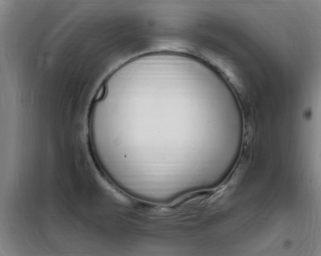 X0000099481471200805301608