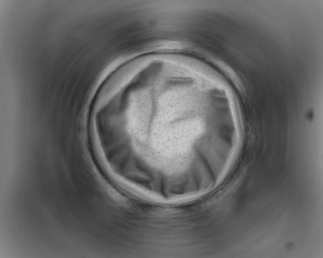 X0000099481475200805301608