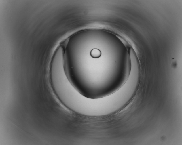 X0000099481477200805301608