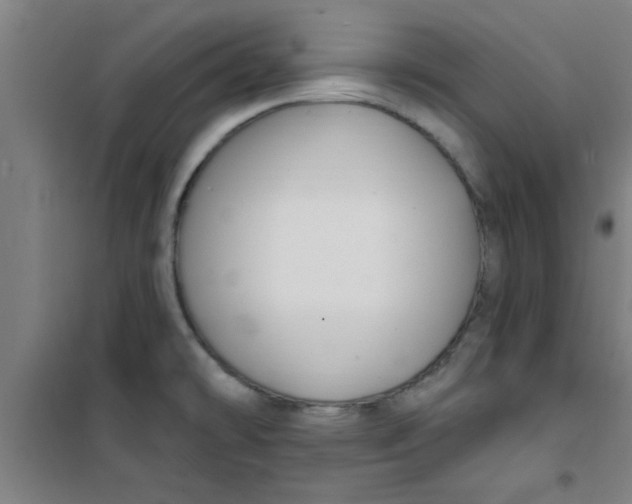 X0000099481478200805301608