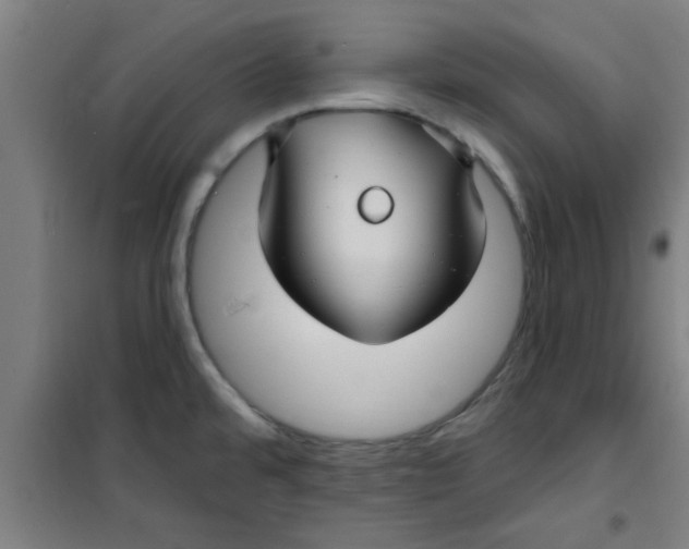 X0000099481480200805301608