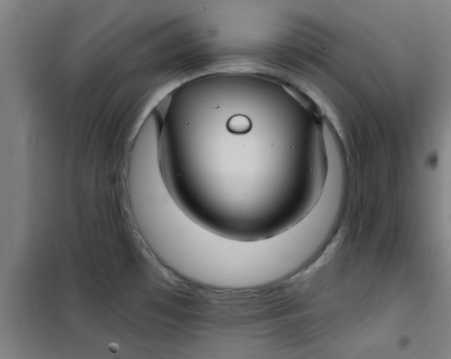X0000099481481200805301608