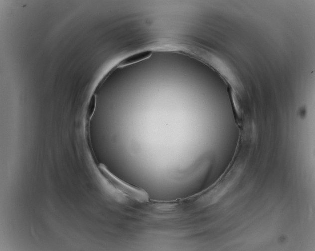 X0000099481484200805301608