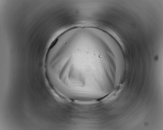 X0000099481485200805301608
