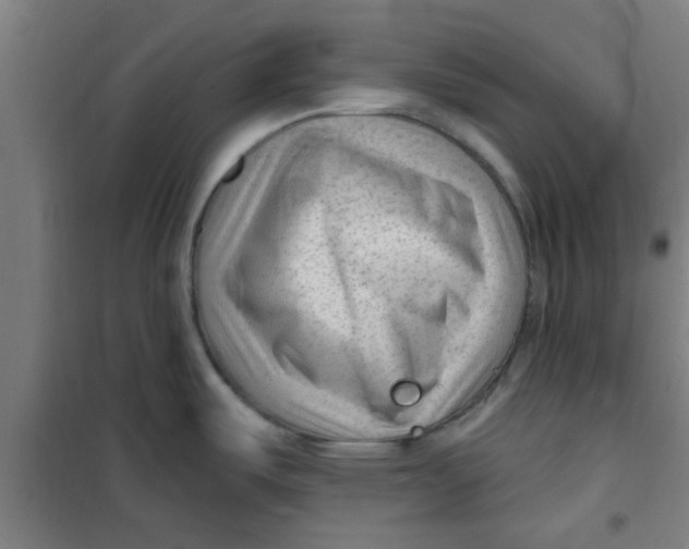 X0000099481487200805301608