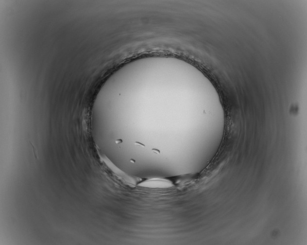X0000099481490200805301607