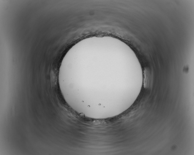 X0000099481491200805301607