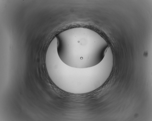 X0000099481492200805301607
