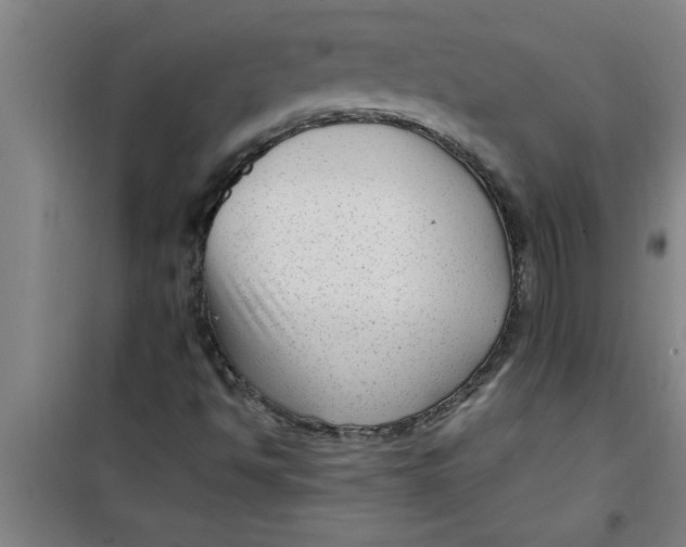 X0000099481494200805301607