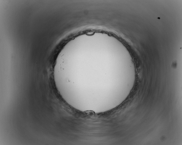 X0000099481495200805301607