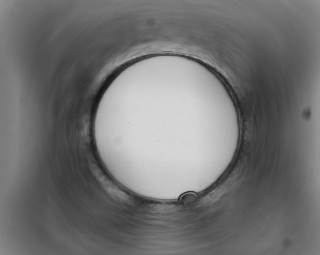 X0000099481499200805301607