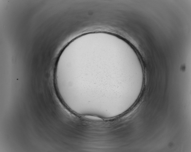 X0000099481500200805301607
