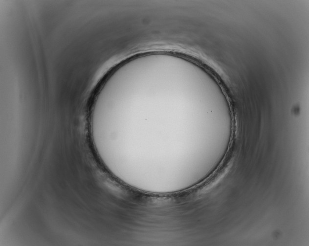 X0000099481501200805301607