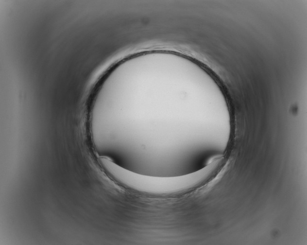 X0000099481502200805301607