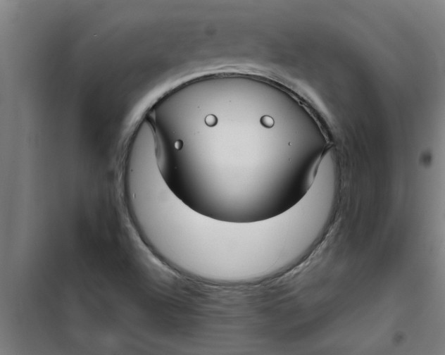 X0000099481504200805301607