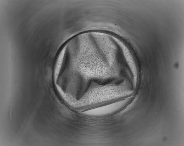 X0000099481505200805301607