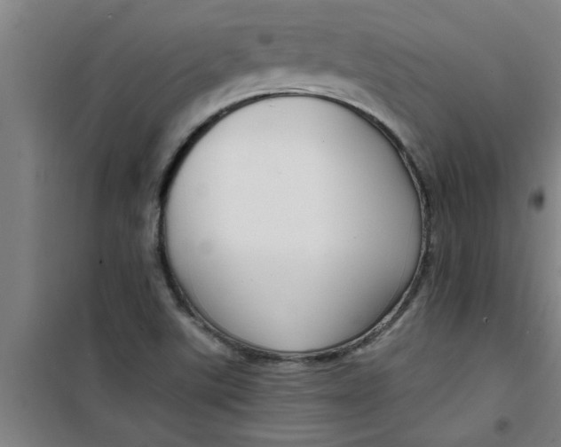 X0000099481507200805301607