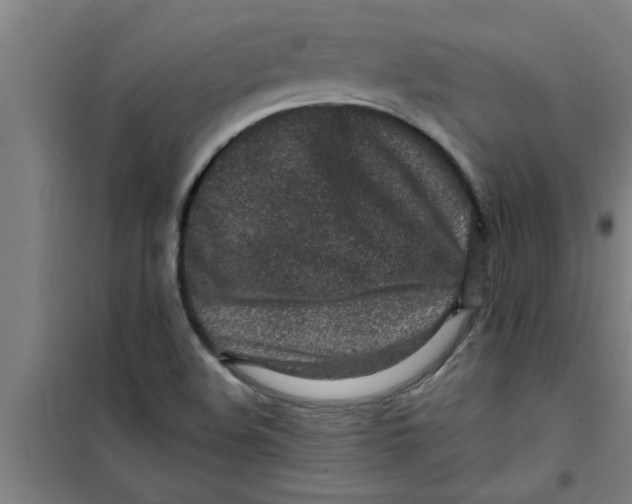 X0000099481508200805301607