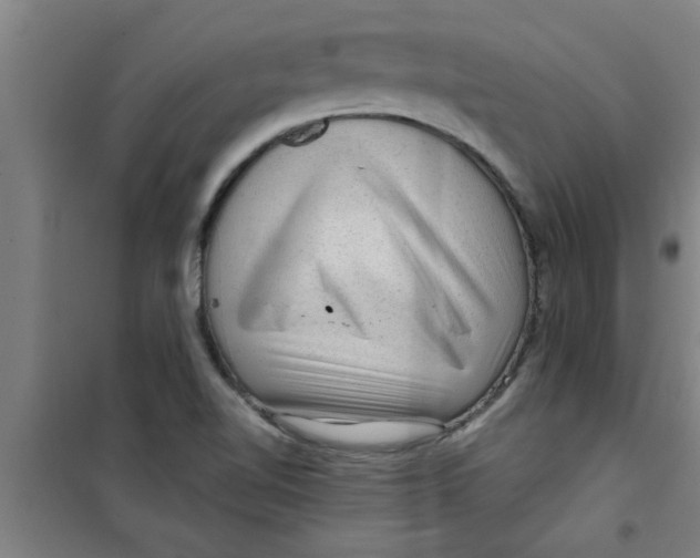 X0000099481510200805301607