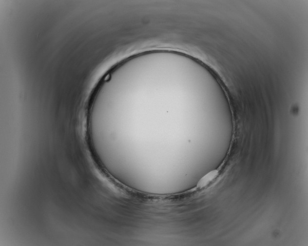 X0000099481511200805301607