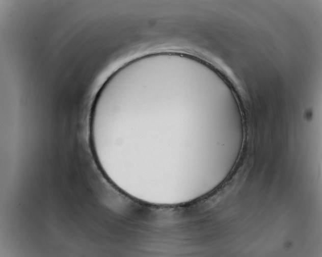 X0000099481512200805301607