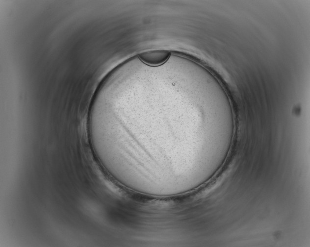 X0000099481513200805301607