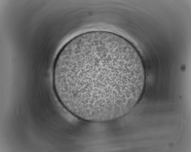 X0000099481514200805301607