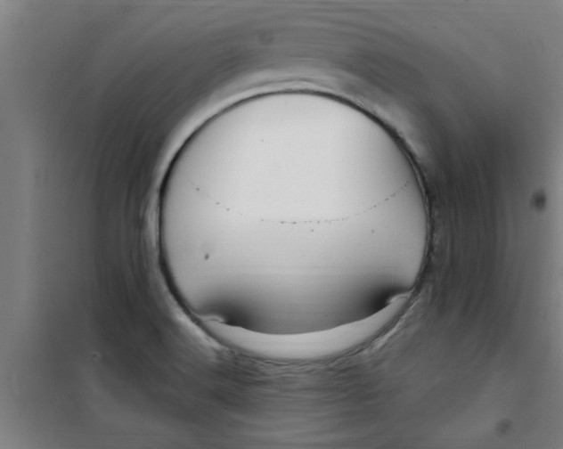 X0000099481516200805301607
