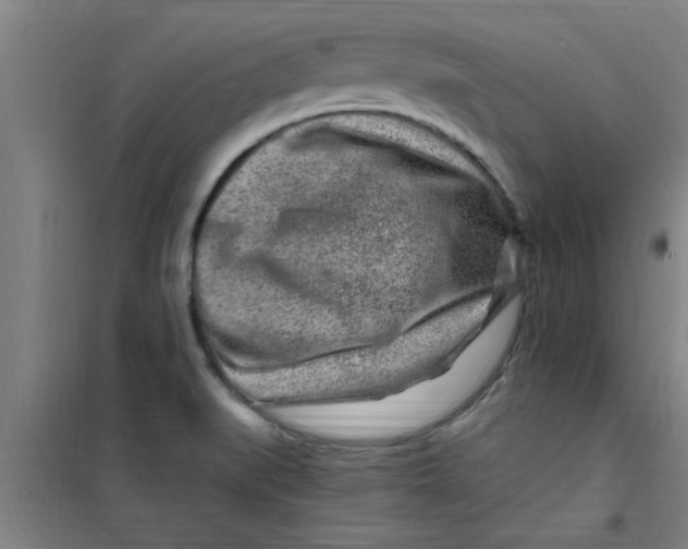 X0000099481519200805301607