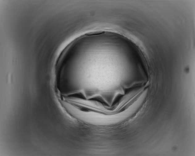 X0000099481520200805301607